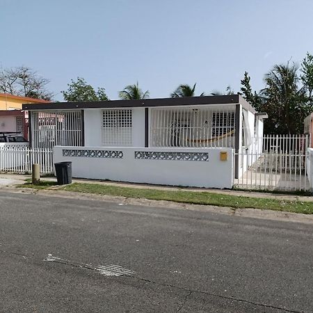 Family House Rain Forest And Beaches Pet Friendly Rio Grande Dış mekan fotoğraf