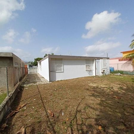 Family House Rain Forest And Beaches Pet Friendly Rio Grande Dış mekan fotoğraf