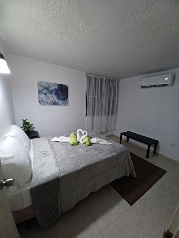 Family House Rain Forest And Beaches Pet Friendly Rio Grande Dış mekan fotoğraf