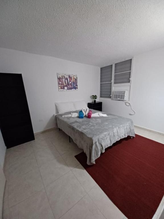 Family House Rain Forest And Beaches Pet Friendly Rio Grande Dış mekan fotoğraf